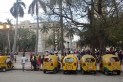 Tuk tuk