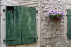 Kotor